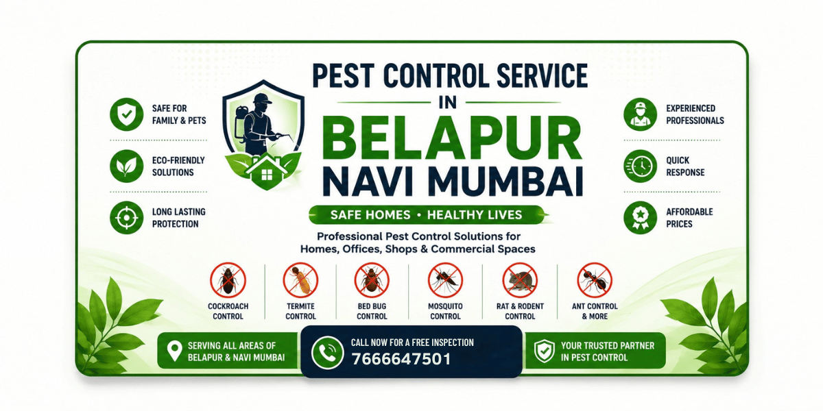 Pest Control Service in Belapur Navi Mumbai – Professional Pest Management by Pestokilz Pest Control