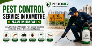 Pest Control Service in Kamothe Navi Mumbai – Pestokilz Pest Control