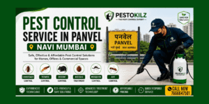 Pest Control Service in Panvel – Trusted Protection by Pestokilz Pest Control