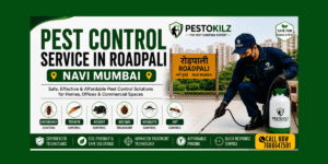 Pest Control Service in Roadpali Navi Mumbai – Pestokilz Pest Control