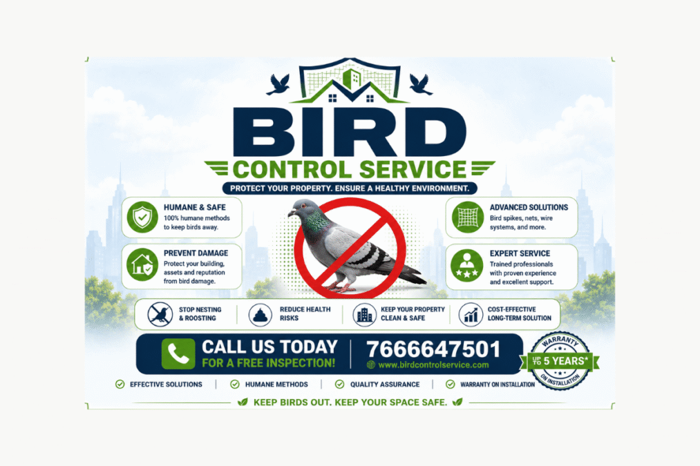 Bird Control Service Professional Solutions for Effective Bird Management
