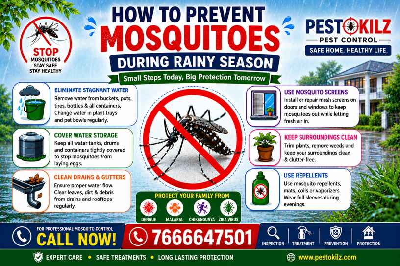 How to Prevent Mosquitoes During Rainy Season Complete Guide by Pestokilz Pest Control