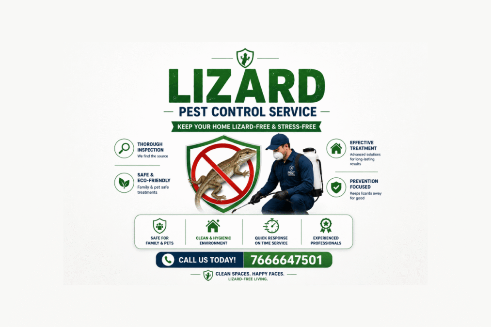Lizard Pest Control Service – Safe & Effective Lizard Removal Solutions