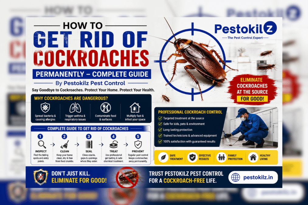 How to Get Rid of Cockroaches Permanently – Complete Guide by Pestokilz Pest Control