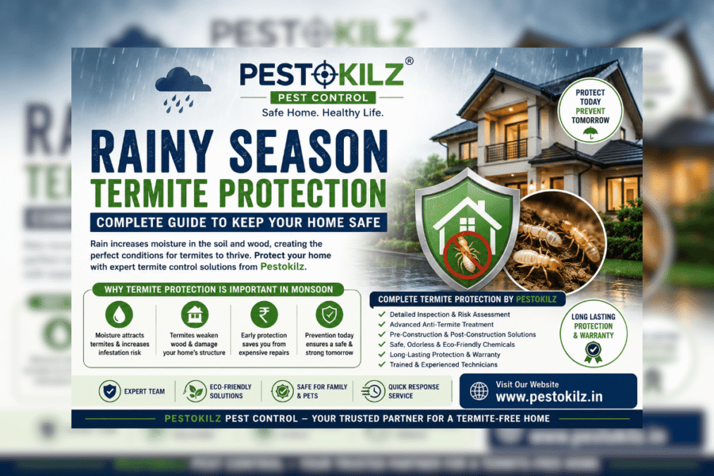 Rainy Season Termite Protection – Complete Guide to Keep Your Home Safe Pestokilz Pest Control